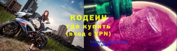 хмурый Карпинск
