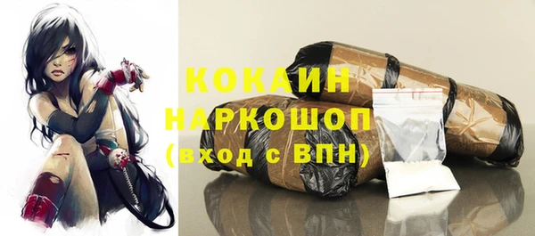 гашик Касимов