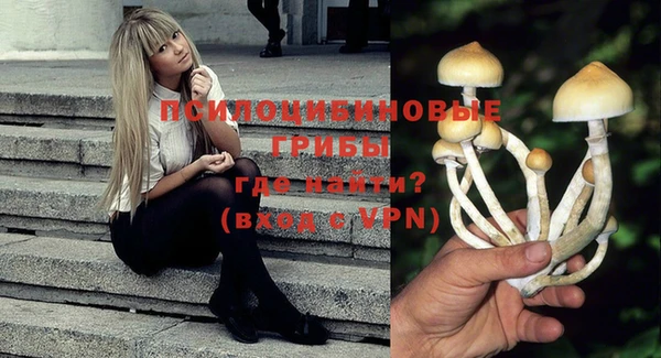 гашик Касимов