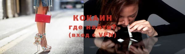 гашик Касимов