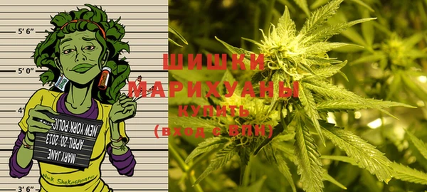 хмурый Карпинск