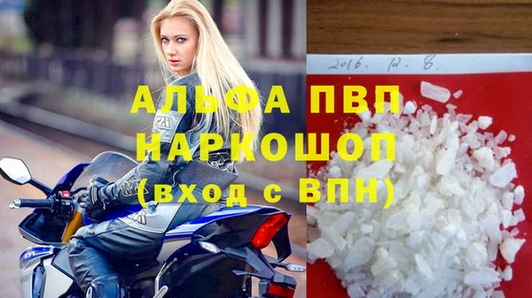 гашик Касимов