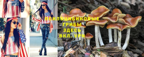 хмурый Карпинск
