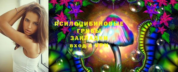 apvp Карталы