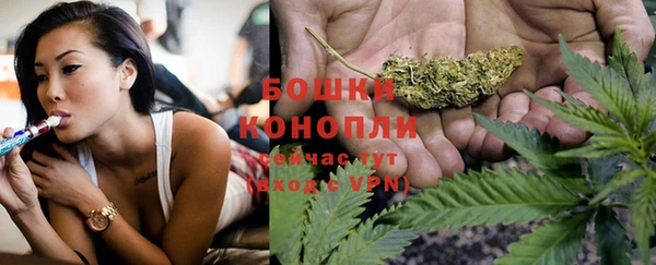 гашик Касимов