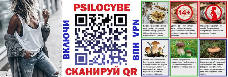 Псилоцибиновые грибы Psilocybine cubensis Волосово