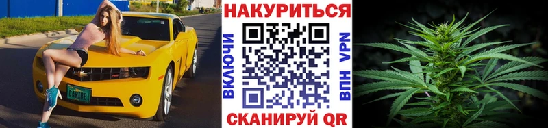 Купить  Волосово  МАРИХУАНА гибрид 